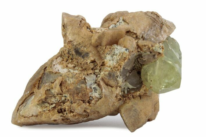 Lustrous Yellow-Green Apatite Crystal on Calcite - Morocco #376606